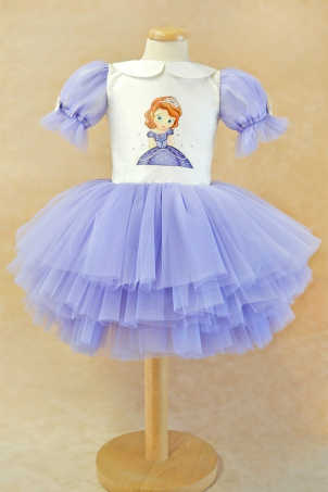 Princess Sofia Girl Hand Painted Dress