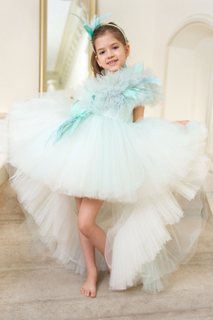 Minty Butterfly - Special occasion tutu dress with train and feathers