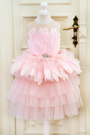 Clarisse - Tutu pink feathers dress with rhinestones