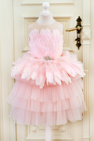 Clarisse - 12 years - Tutu pink feathers dress with rhinestones Clarisse - 12 years - Tutu pink feathers dress with rhinestones